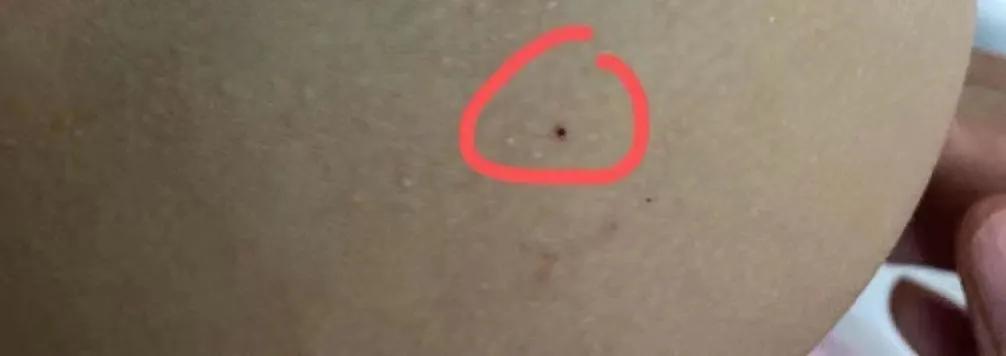 红黄蓝幼儿园虐童事件今日说法,红黄蓝幼儿园虐童事件的舆情变化