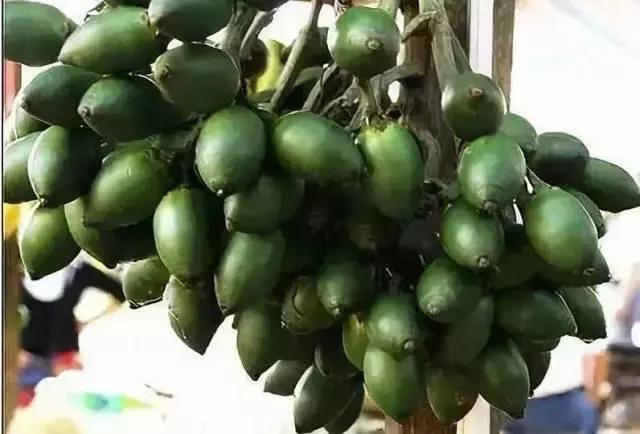 为什么不吃槟榔果,槟榔怎么吃才正确