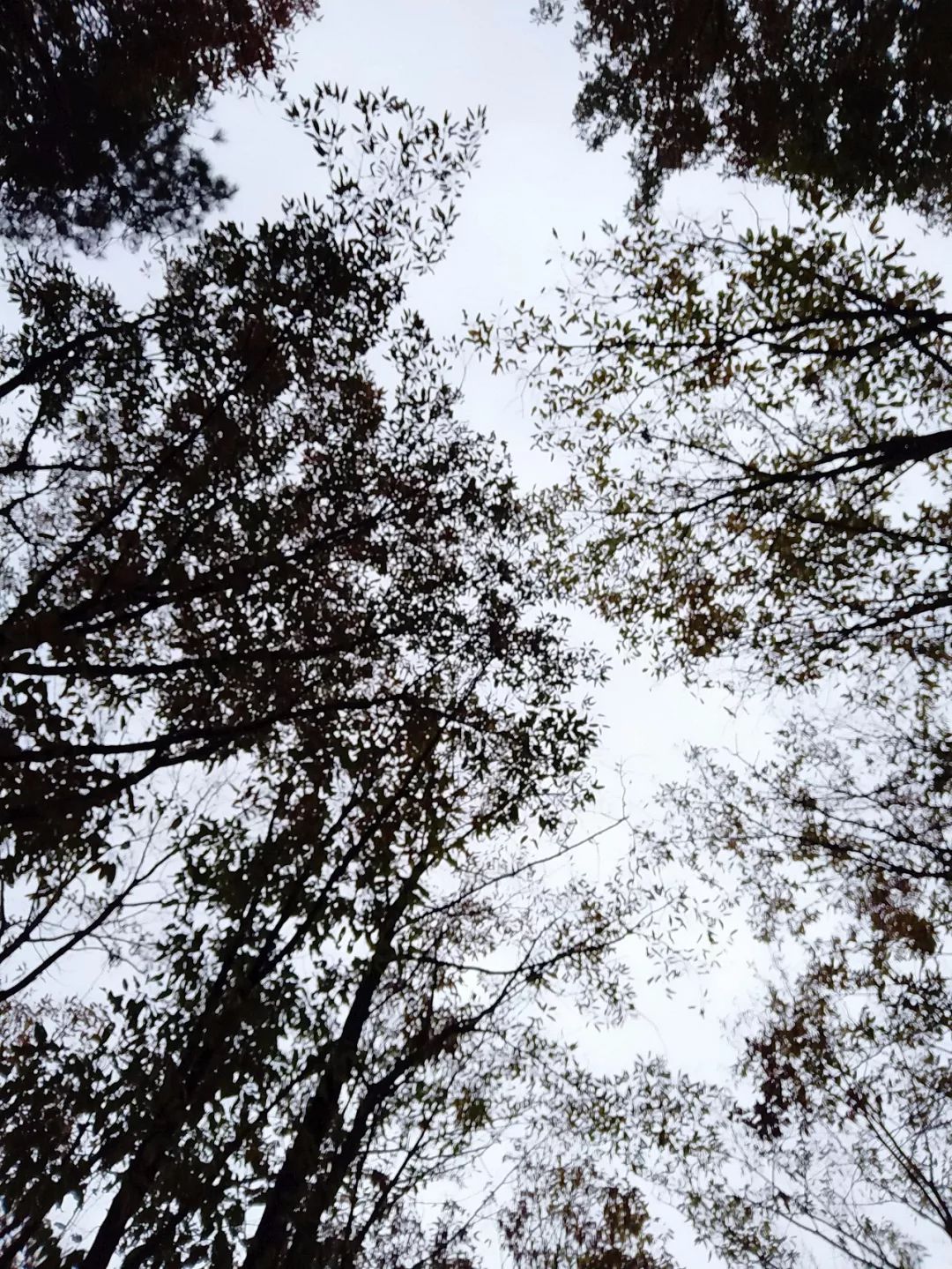 姝︽眽鑻变鸡灏忓眿,姝︽眽鏈夊効绔ヨ鏂界殑鎴胯溅钀ュ湴