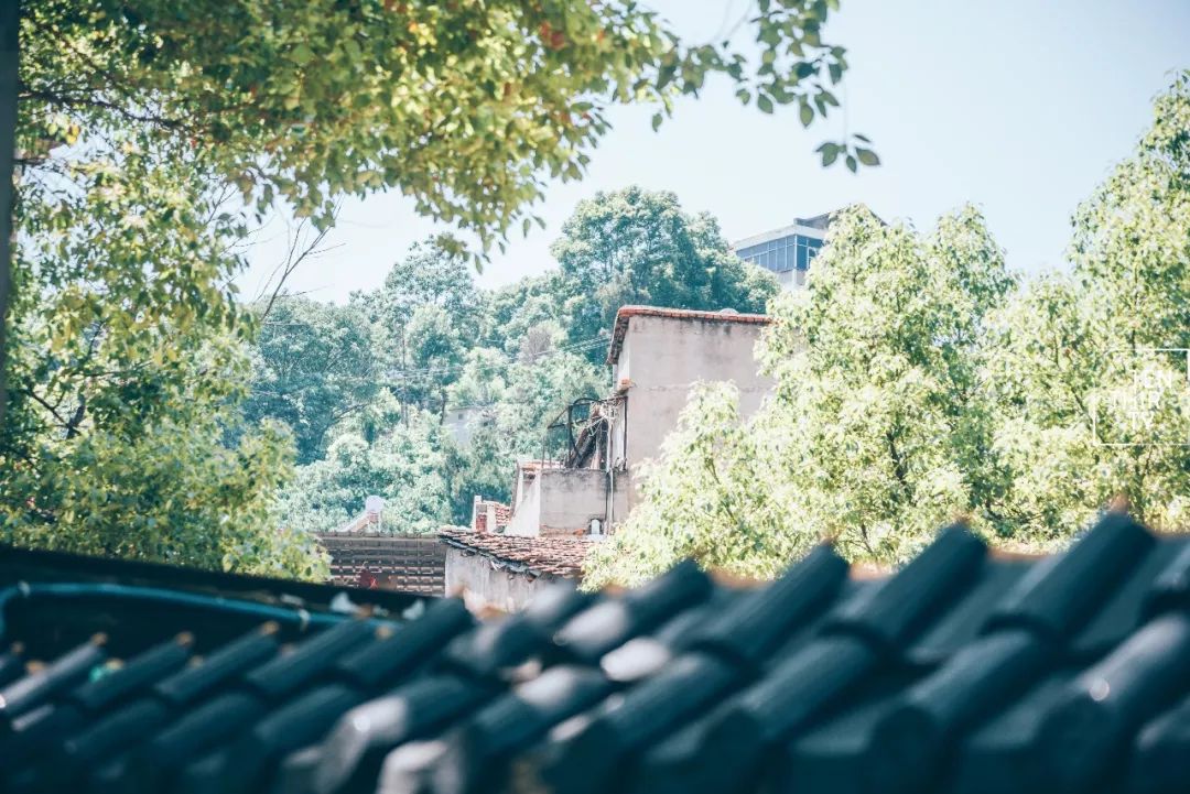 用66张照片回忆2020年,江夏高清图片