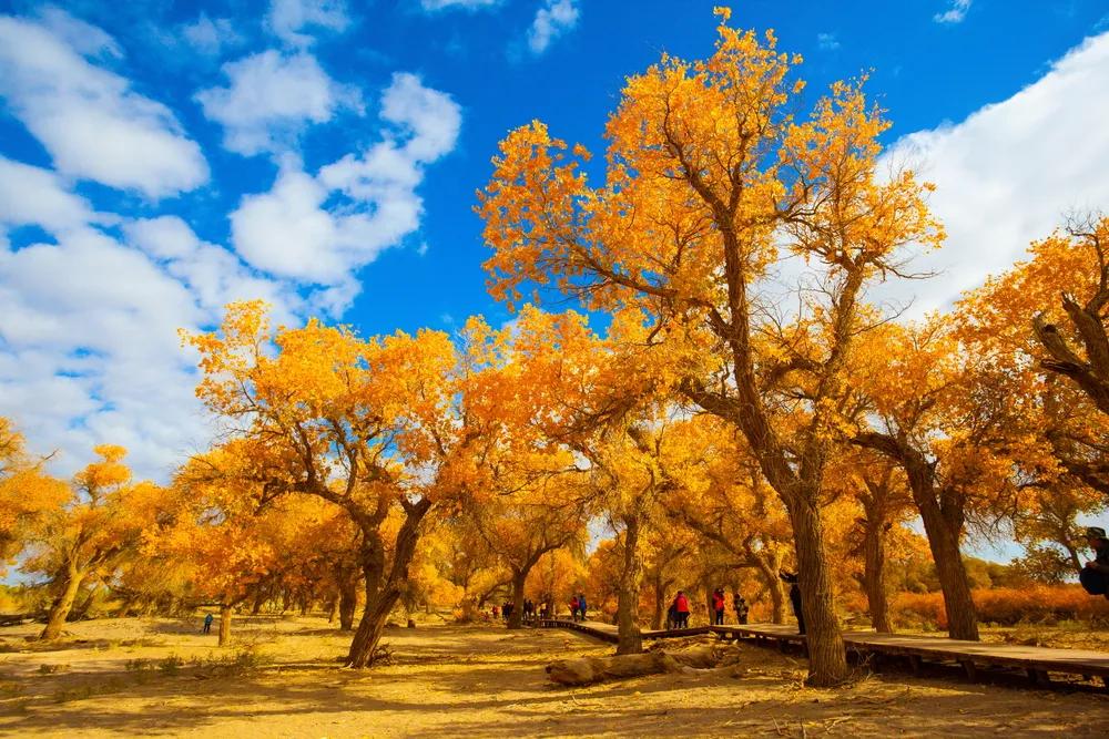 世界一生必去的51个最美的地方,全世界一生必去的100个地方