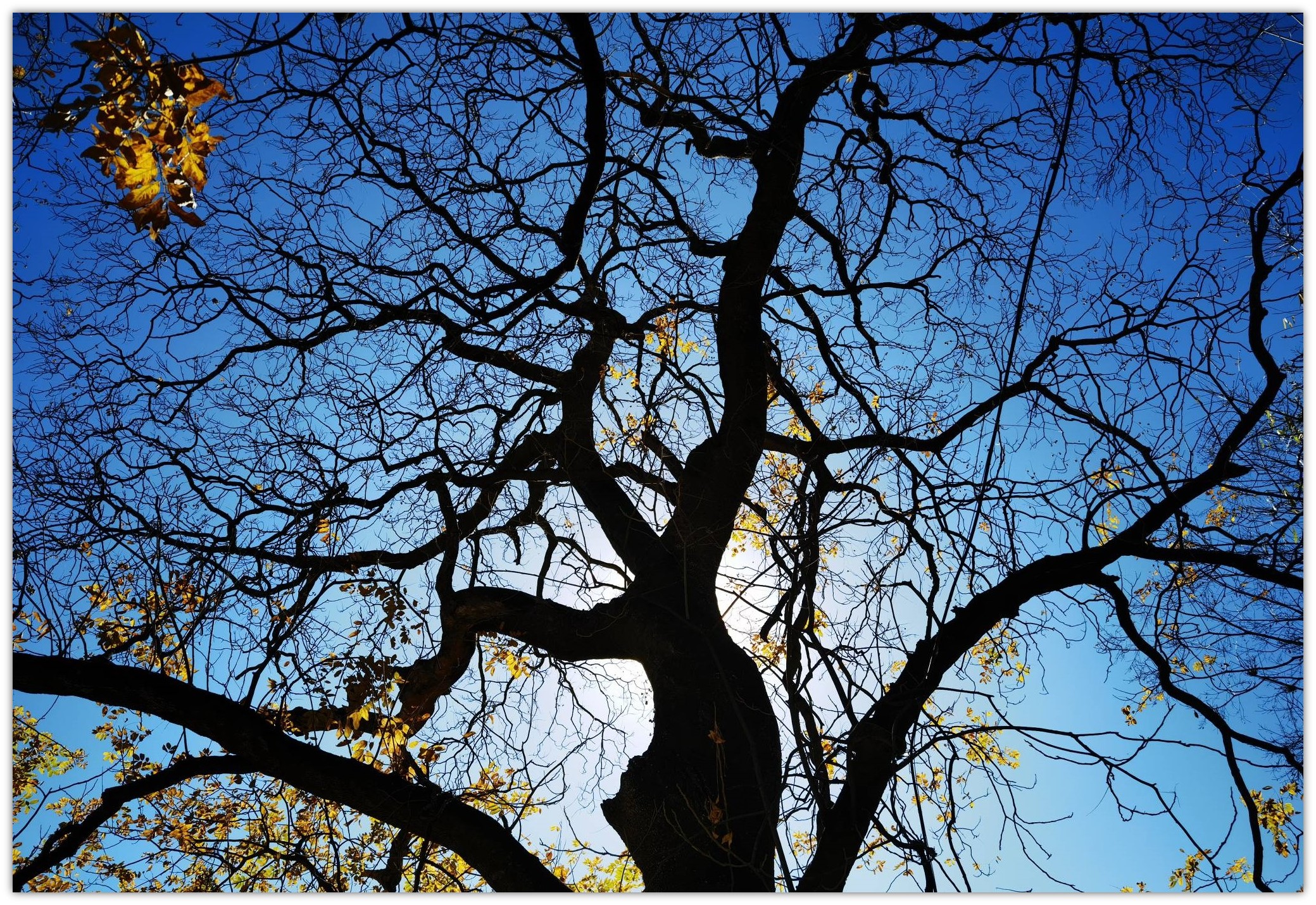 用华为手机拍照,用华为手机拍照五个功能怎么用