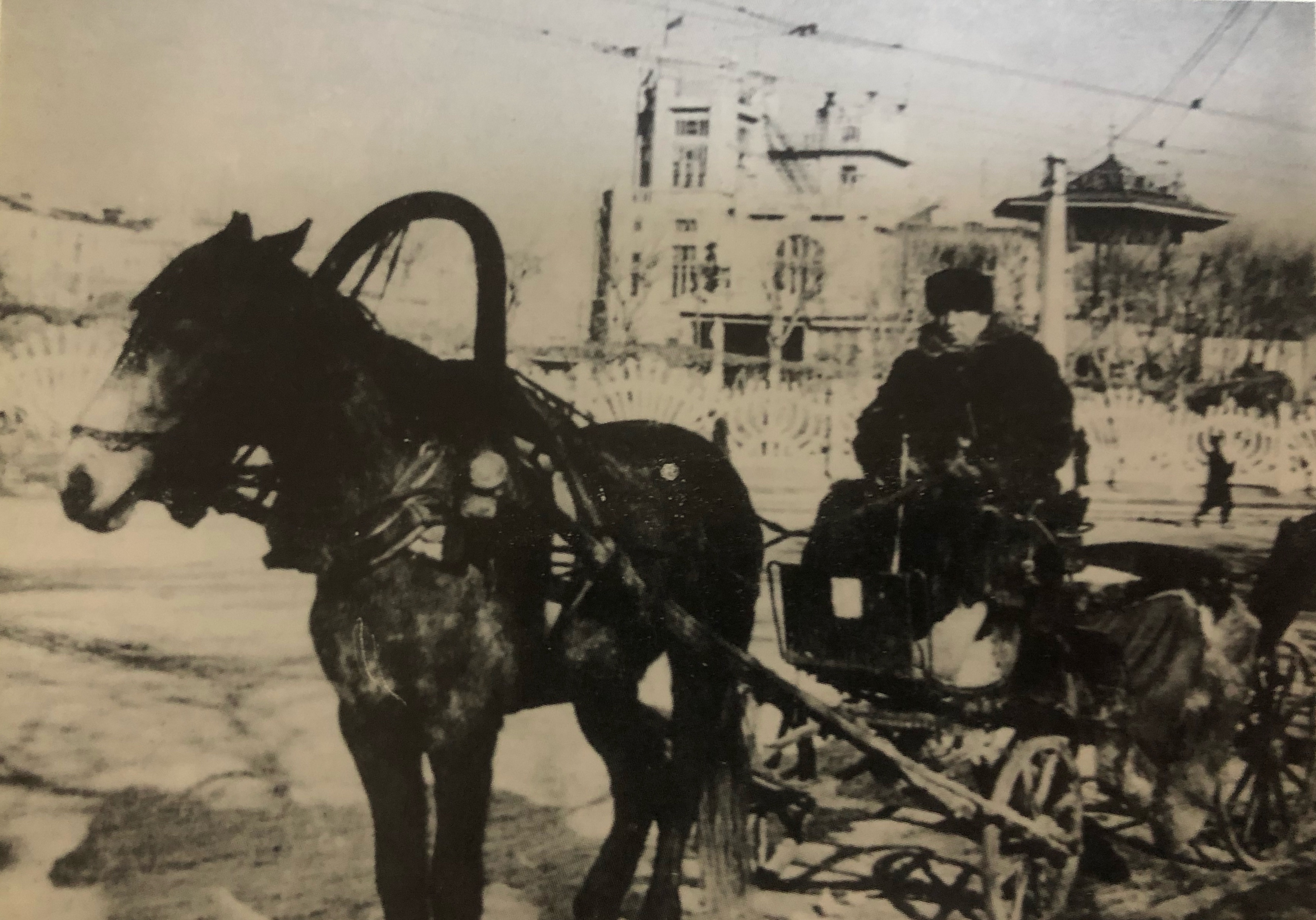 哈尔滨70年代动力区前进街老照片,哈尔滨老市政府大楼老照片