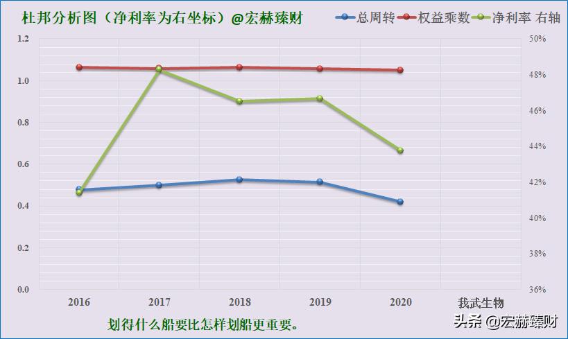 一文读懂生物进化,一文解析全装备