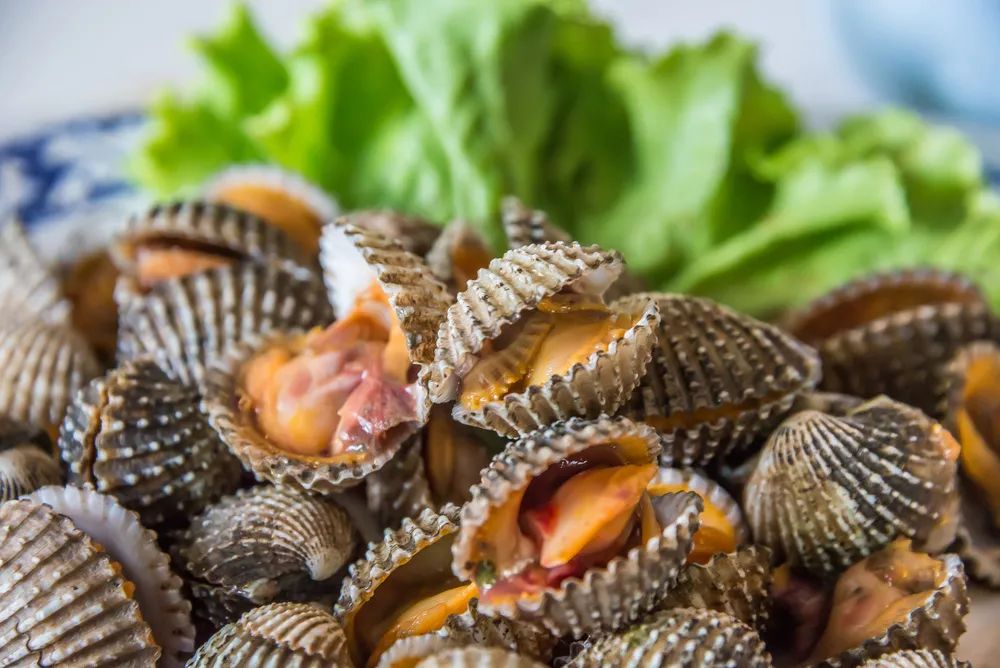 请依次用韩文读出来,请朗读并圈出元音不同的单词