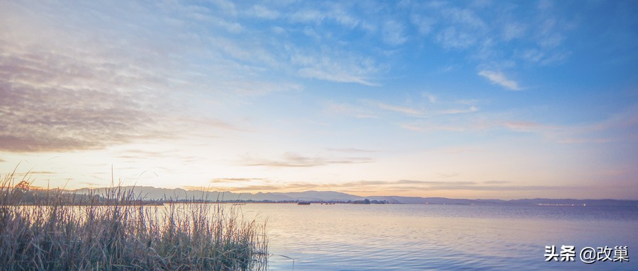胶州向往的生活小院,胶州生活观