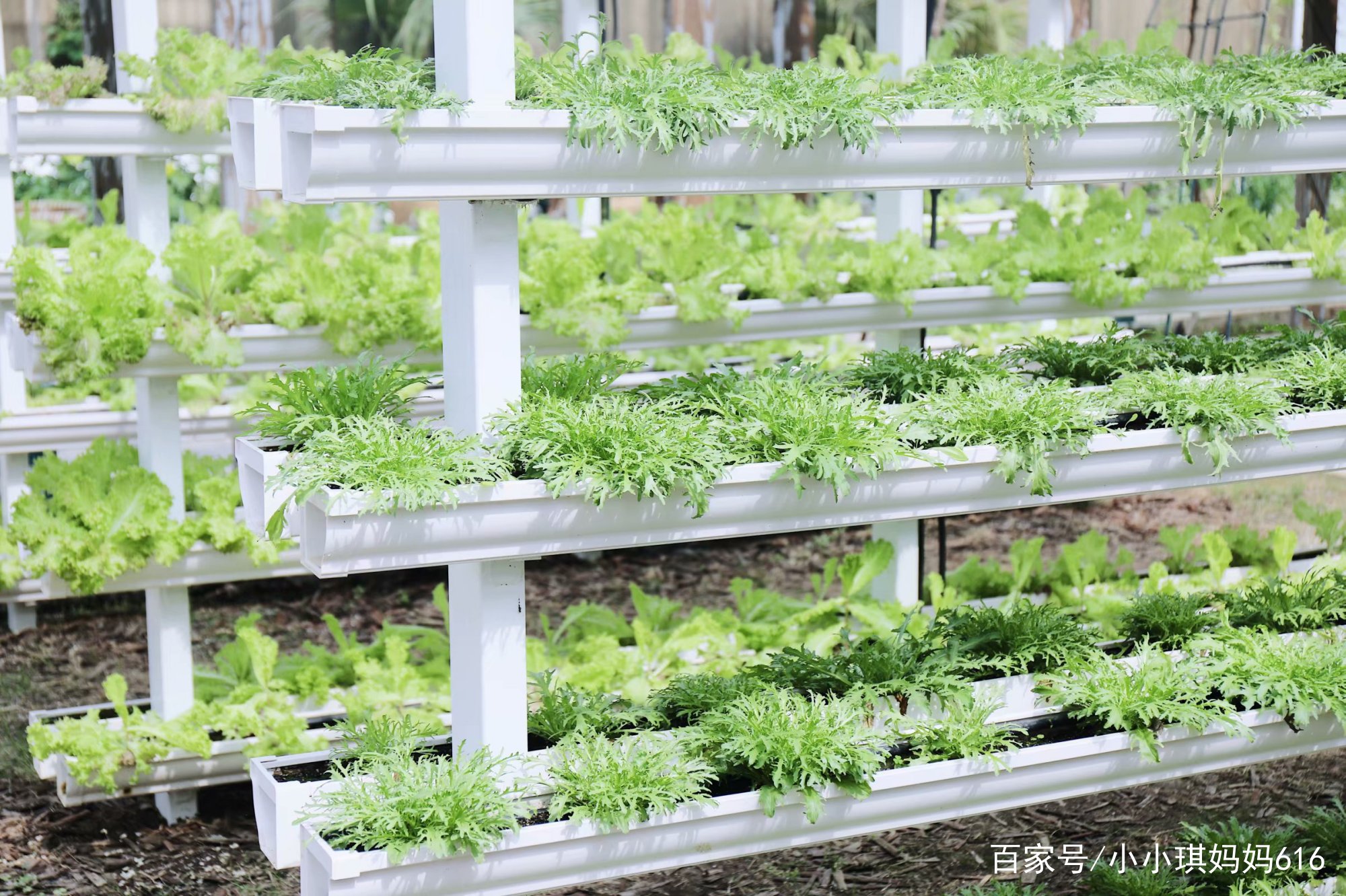 南京周边适合小众安静的旅行地,南京周边一天度假最好的地方