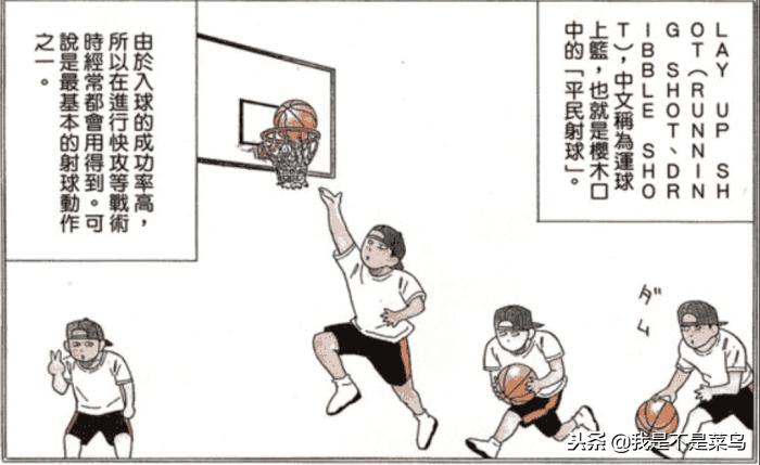 灌篮高手中的小博士科普,灌篮高手t博士