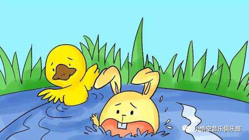 兔子学游泳启示简短,兔子学游泳材料作文议论文