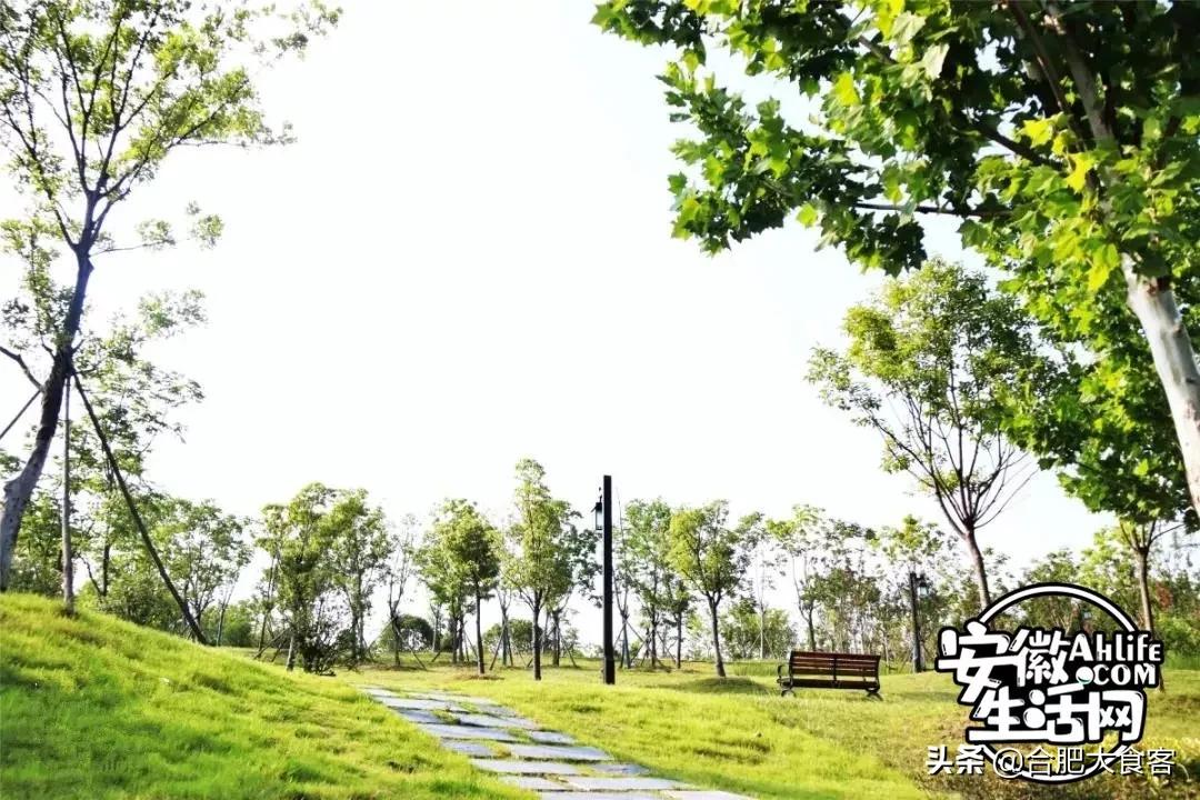 2020年,在这50个地方遇见不一样的合肥