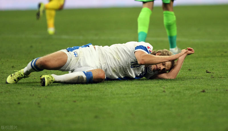 欧洲杯之芬兰队,欧洲杯之瑞士