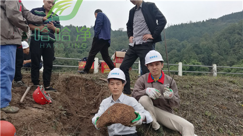 重庆白蚁防治中心电话,重庆荣昌白蚁防治中心电话