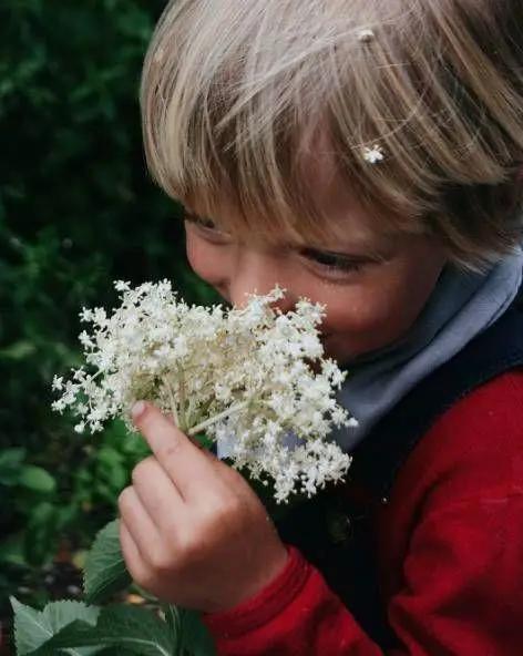 她放弃城市生活，一家人搬到乡下田园：自给自足