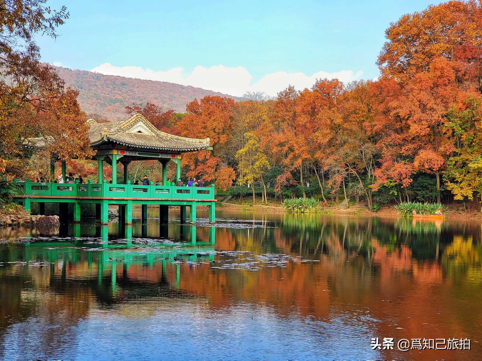 美在金陵文艺大咖秀,美在金陵梁梅