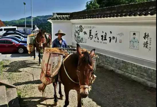 绍兴最美古镇排名,绍兴十大最美乡村