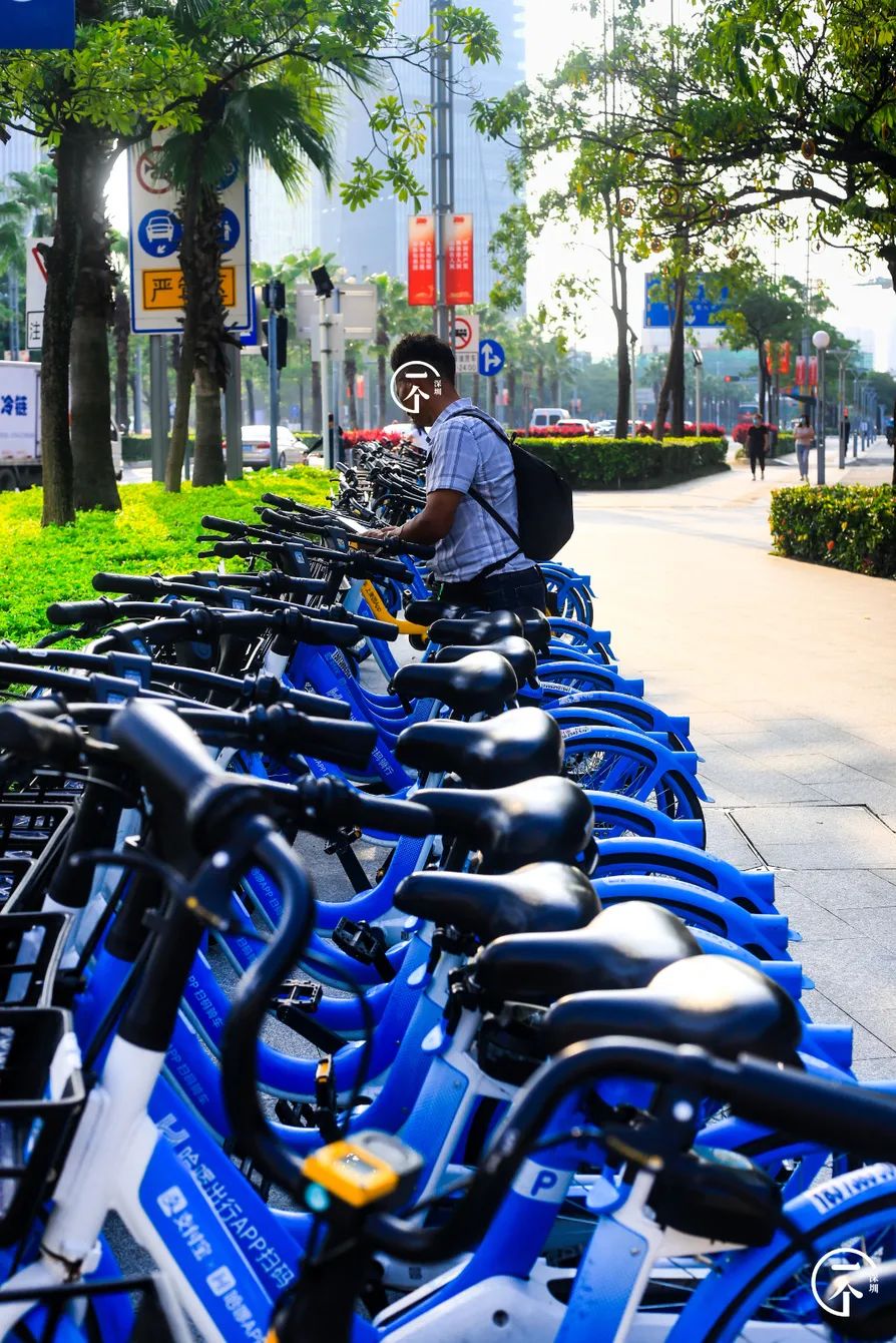 2000万在深圳能买到别墅吗,2000能在深圳租到怎样的房子