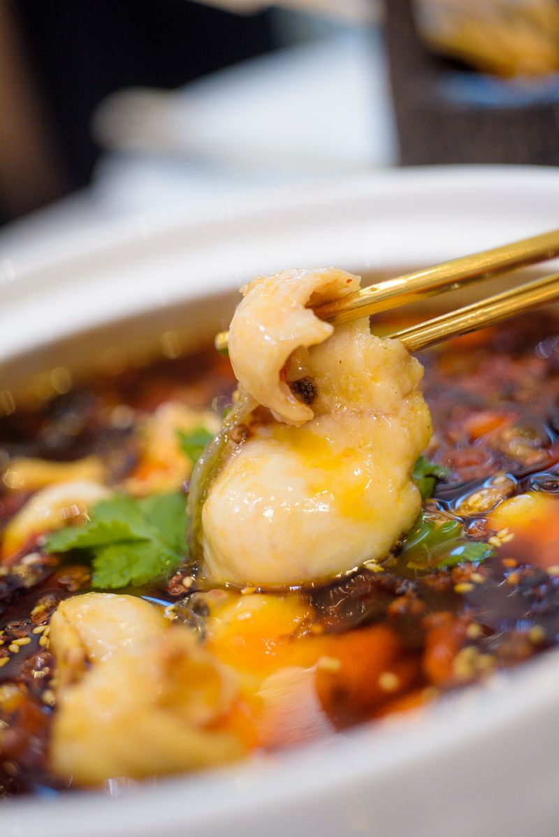 海口飞特,飞特推荐