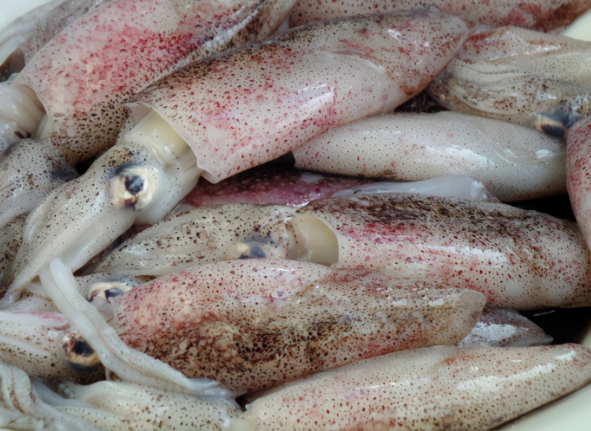 墨鱼里的墨真的是墨汁吗,墨鱼的墨汁是什么成分的