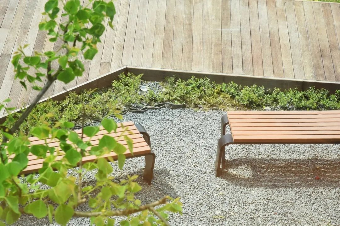 瑙呰叮灏忛晣褰窞,瑙呰叮灏忛晣宕囧窞