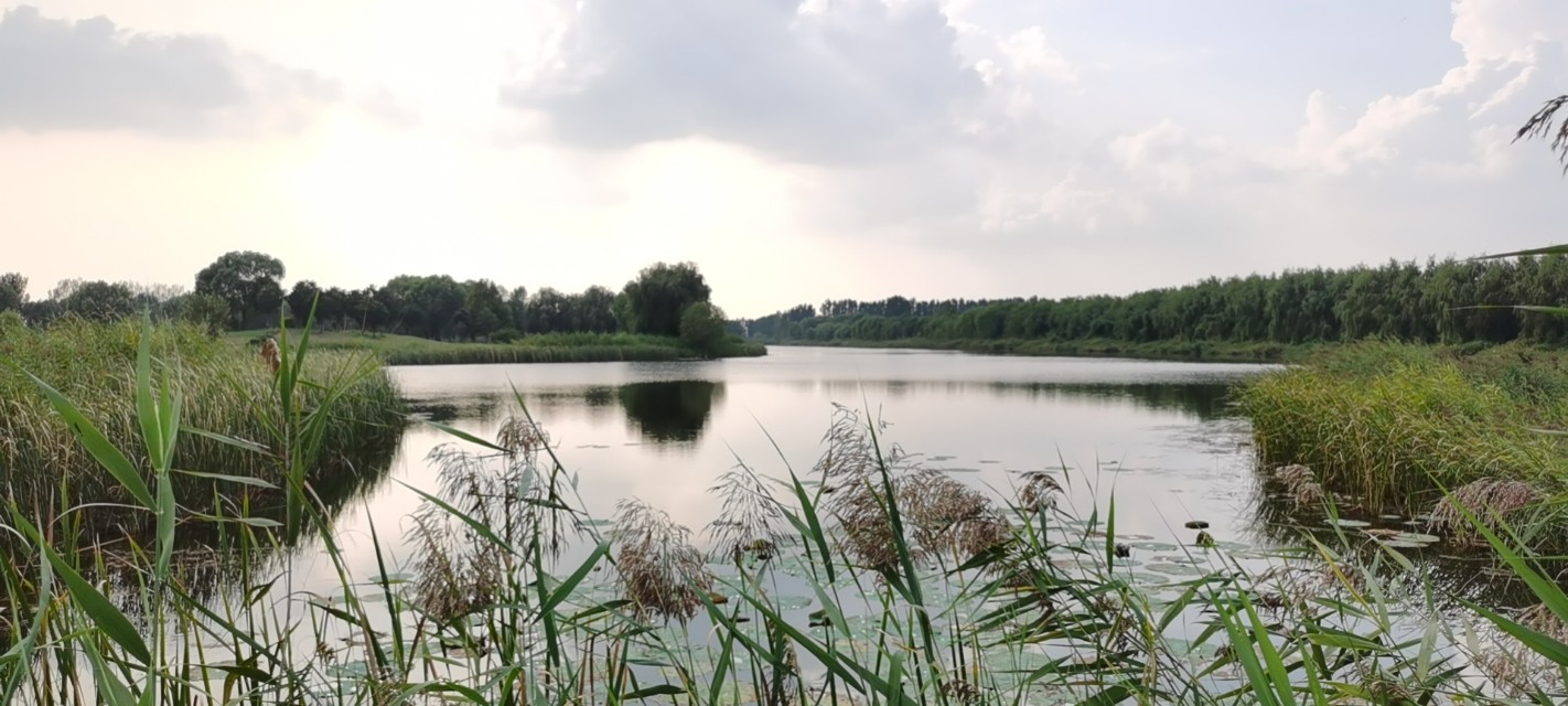 白洋淀高尔夫运动休闲公园,河北美庐高尔夫球场