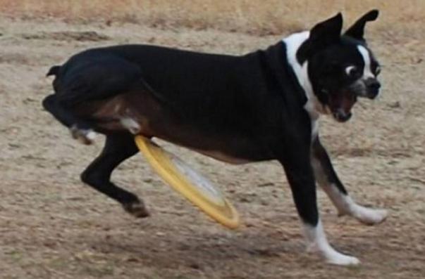 搞笑图片大全二十四张,搞笑图片大全集