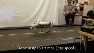 一群机器狗表演,一群机器狗视频