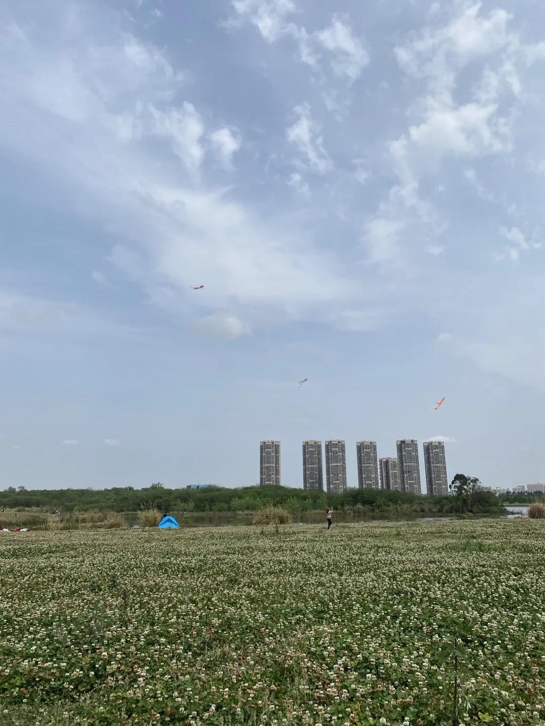 成都拍了拍你,一亿成都粉get心动讯息