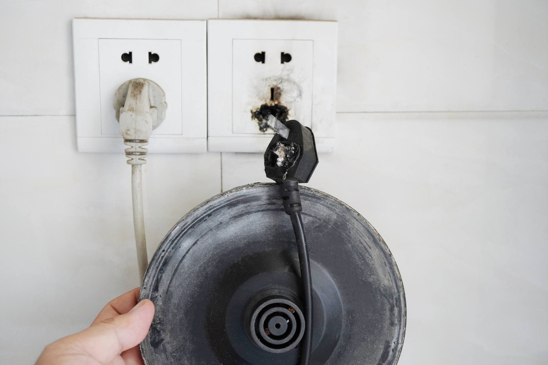 蓝宝小白鲸净饮一体机推荐,德国蓝宝小白鲸净饮机多少钱