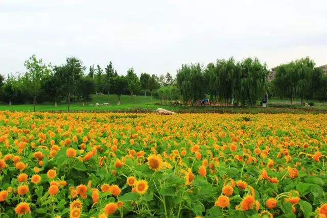 北京房山团建踏青地点推荐,北京房山春季旅游最佳去处