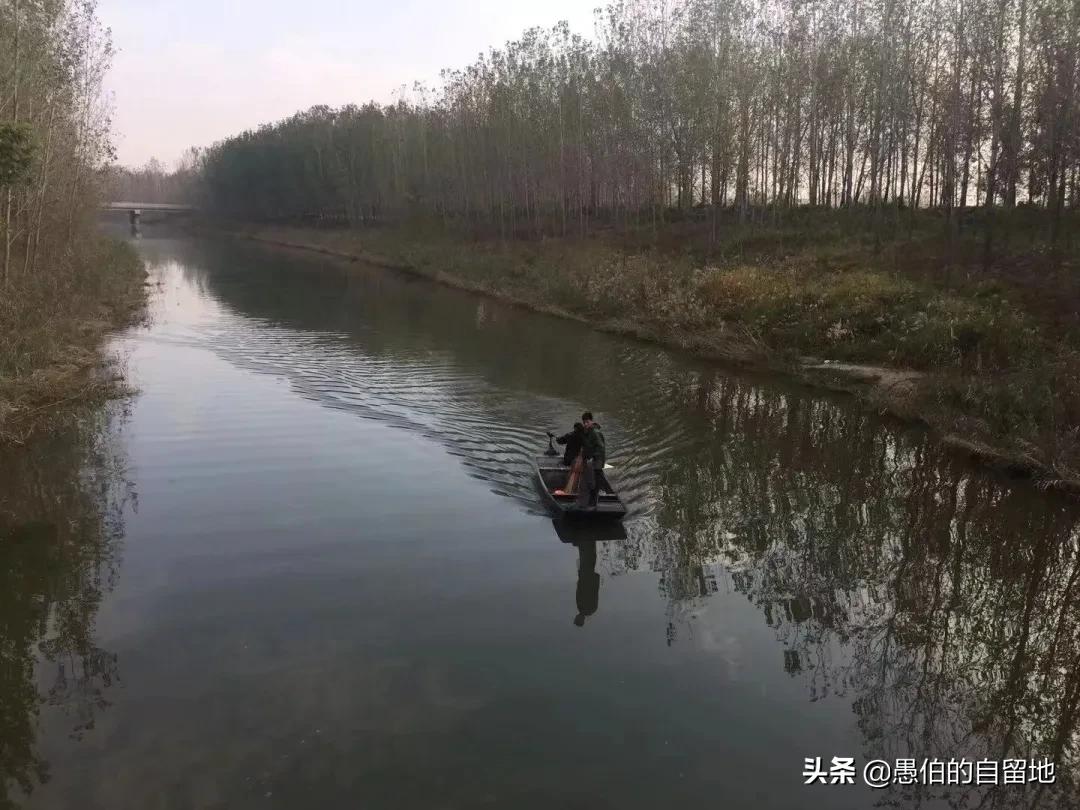 霜降后的早晨农村,霜降以后的果园