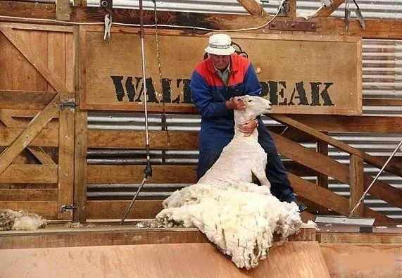 拼多多突然有一天爆单,拼多多忽然爆单了