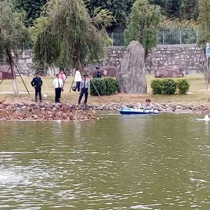 打马赛克的段子,关于马赛克的经典段子