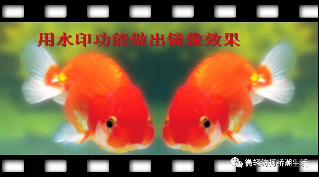 光影魔术手美化人像,光影魔术手如何批量处理美化照片