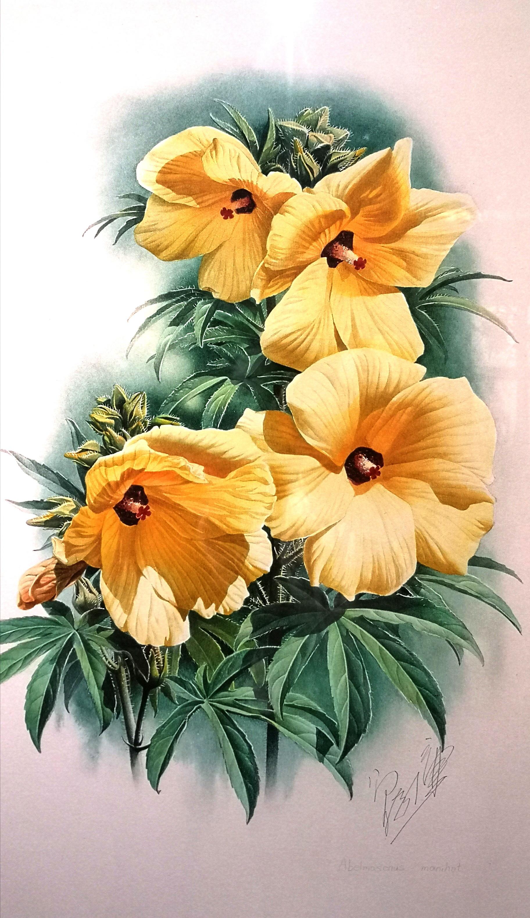 植物画家曾孝濂,画家曾孝濂作品欣赏