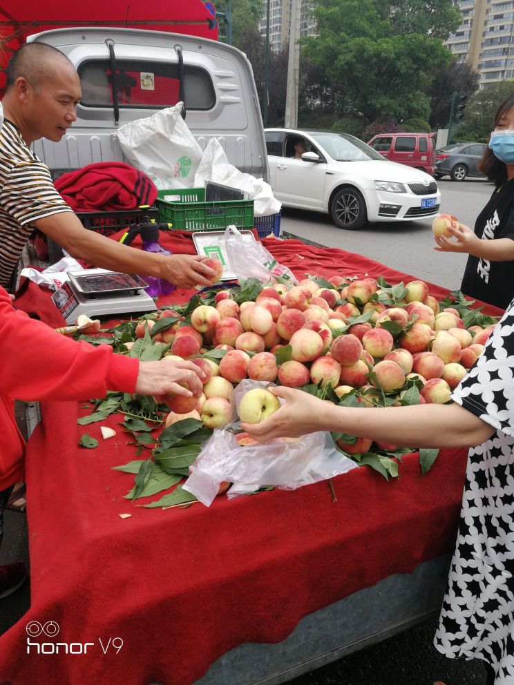 <html>
<head><title>502BadGateway</title></head>
<body>
<center><h1>502BadGateway</h1></center>
<hr><center>nginx</center>
</body>
</html>
<!--apaddingtodisableMSIEandChromefriendlyerrorpage-->
<!--apaddingtodisableMSIEandChromefriendlyerrorpage-->
<!--apaddingtodisableMSIEandChromefriendlyerrorpage-->
<!--apaddingtodisableMSIEandChromefriendlyerrorpage-->
<!--apaddingtodisableMSIEandChromefriendlyerrorpage-->
<!--apaddingtodisableMSIEandChromefriendlyerrorpage-->
