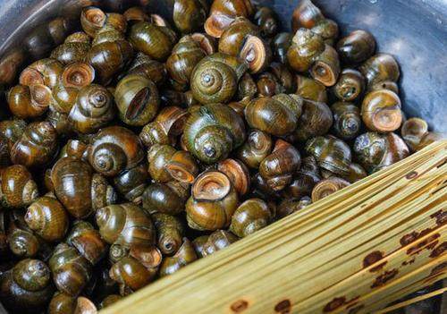 为啥炒的田螺入不了味,田螺炒的吸不动