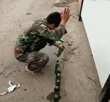 这只鹦鹉一直以为他是一只猴，所以每天都在重复做这个动作