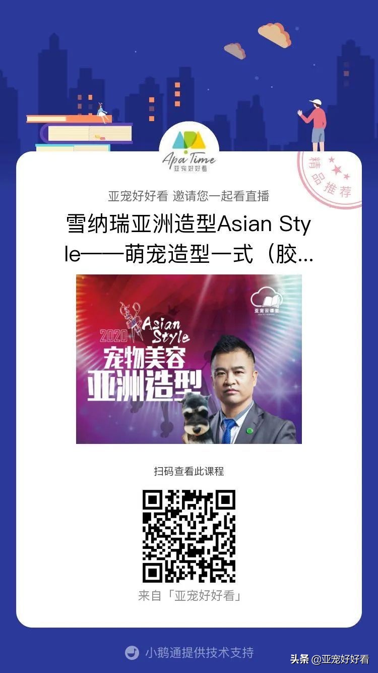 亚宠云课堂,比熊犬赛级妆造型