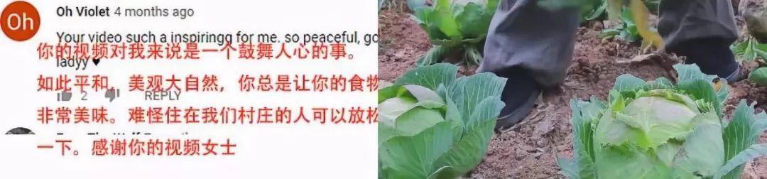 她凭“中华之美”圈粉海外，却被国内网民骂成筛子