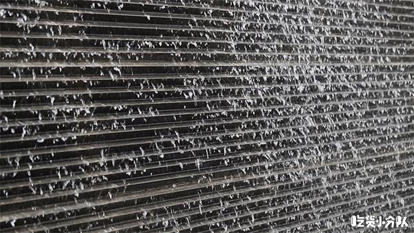 深圳四万人排队买奶茶,深圳排队2万人的奶茶叫什么