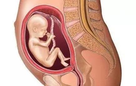 新手爸妈要知道的12件事,看看他们都做了什么