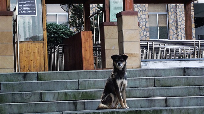 宜兴竹海山顶华南第一峰,宜兴华东第一竹海