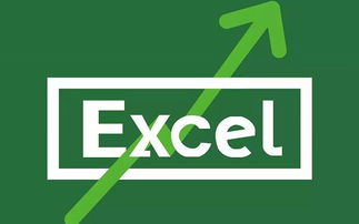 职场小白如何快速掌握excel,职场最常用的excel技巧你学会了吗