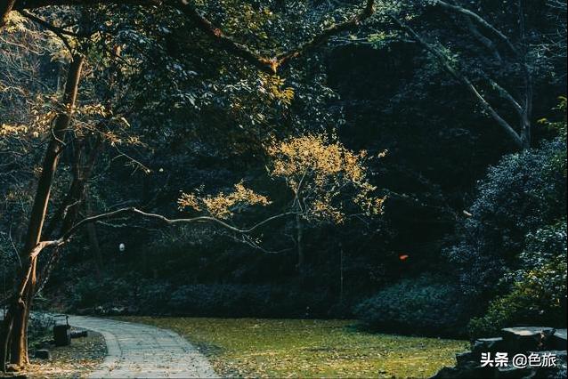 逆水寒游历虎跑梦泉怎么出葫芦,杭州游玩虎跑泉