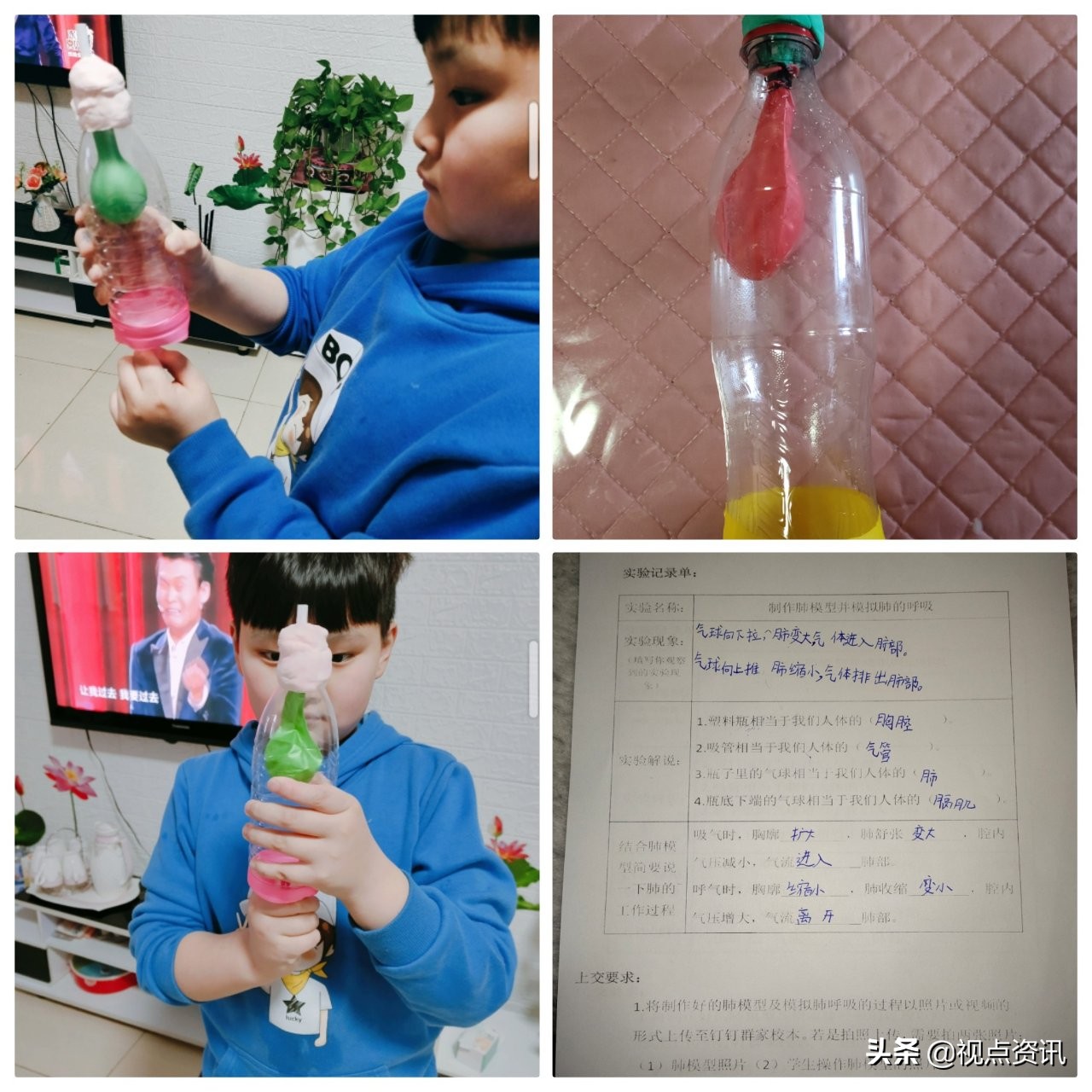 赞！雅美文绿博采众长-文化绿城小学线上教学指导手册（六）