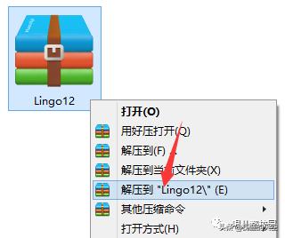 lingo11软件教学,lingo安装包及教程