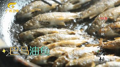 巴马长寿村10年候鸟人真实现状,最新巴马候鸟人真实讲述