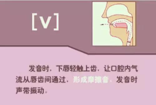音标教学视频48个快速记忆法,海伦音标教学视频48个