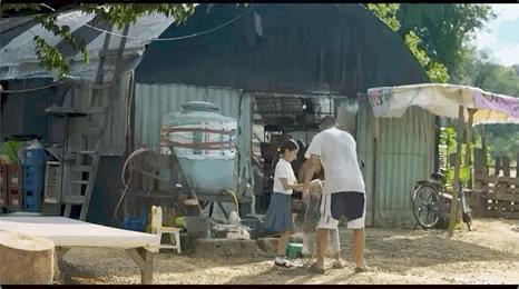 爱豆演技高光瞬间,深扒爱豆演技