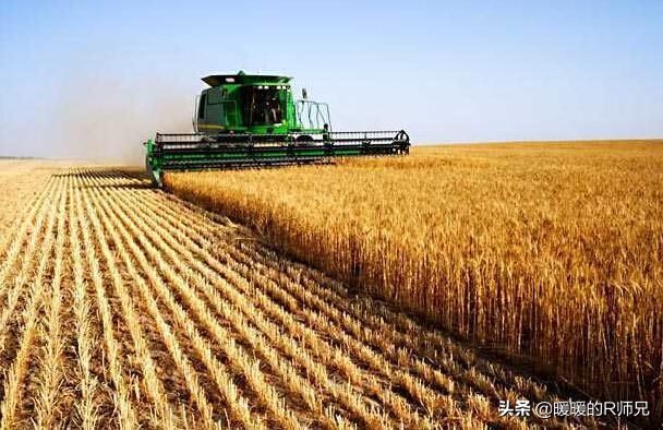 目前有几个国家禁止粮食出口,最近哪些国家禁止粮食出口